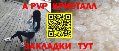 гашик Донецк
