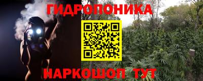 гашик Донецк