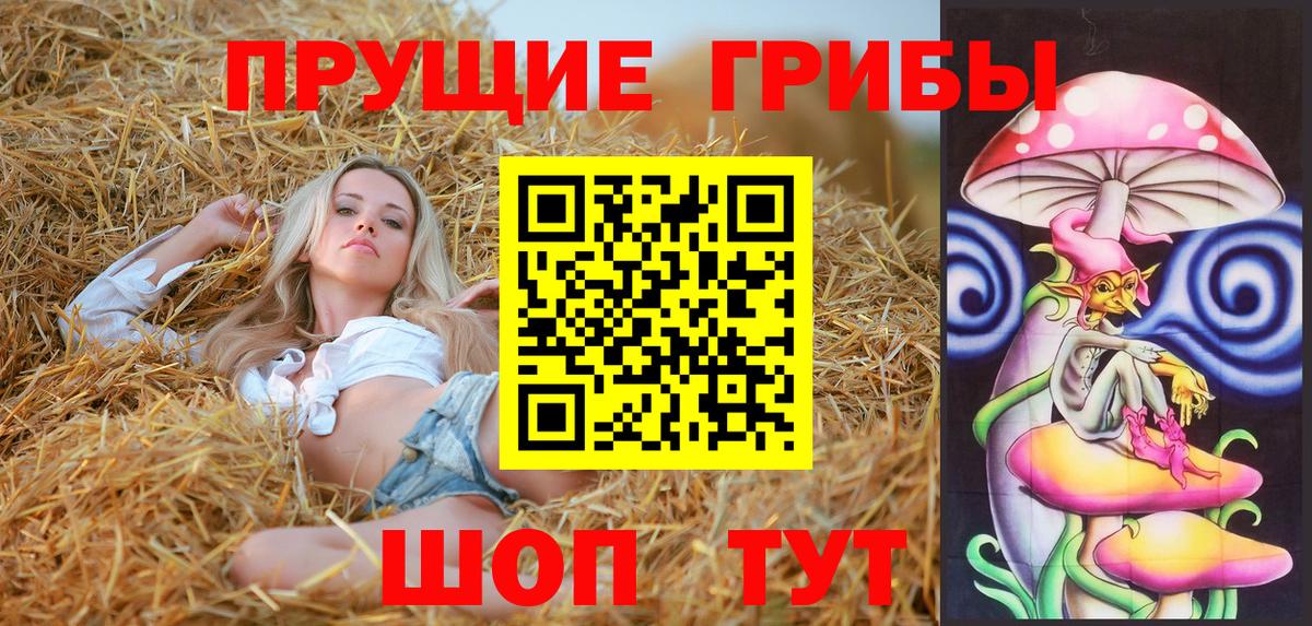 Псилоцибиновые грибы Psilocybe  Вход с VPN  Псилоцибиновые грибы Psilocybine cubensis  Набережные Челны 