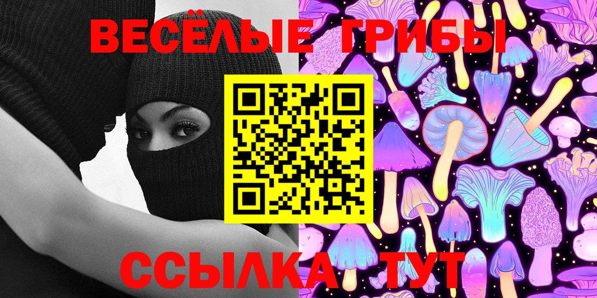 Псилоцибиновые грибы Cubensis Набережные Челны